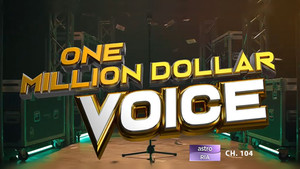One Million Dollar Voice kép