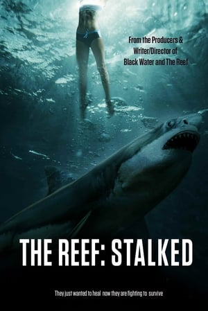 The Reef: Stalked poszter