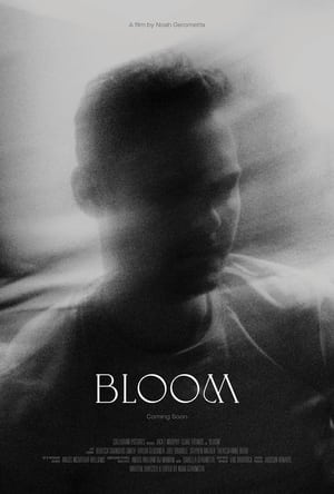 Bloom