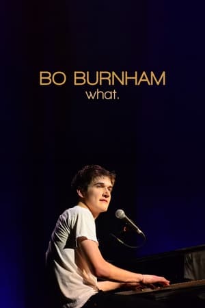 Bo Burnham: What. poszter