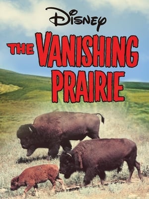 The Vanishing Prairie poszter