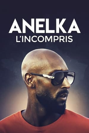 Anelka : L'Incompris