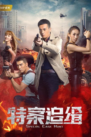 特案追缉 poszter