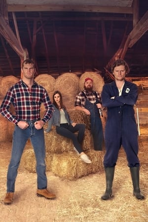 Letterkenny poszter