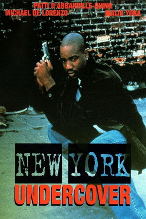 New York Undercover poszter