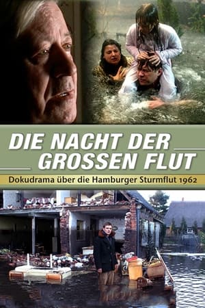 Die Nacht der großen Flut poszter