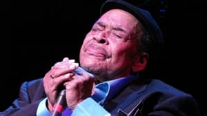 Bonnie Blue: James Cotton's Life in the Blues háttérkép