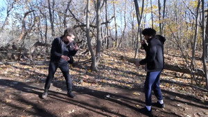 Step-Punch | ACT ONE: WOODS háttérkép