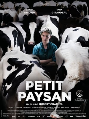 Petit Paysan poszter