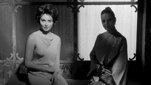 La strega in amore háttérkép