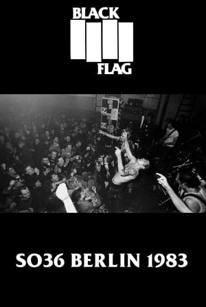 BLACK FLAG Live in Berlin poszter