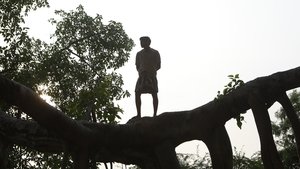 பைசன் காளமாடன் háttérkép