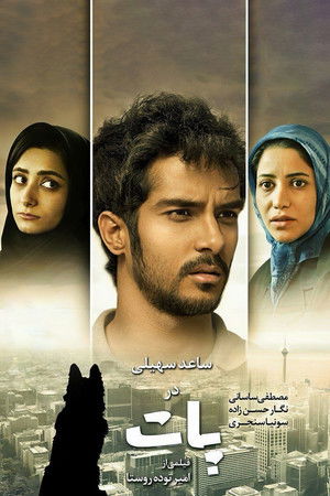 پات poszter