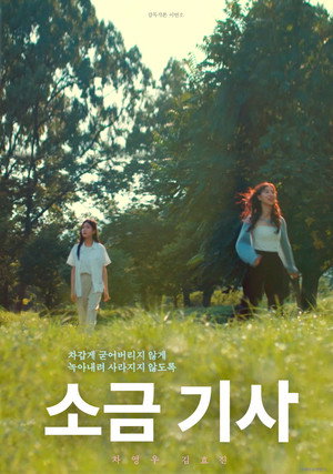 소금 기사 poszter