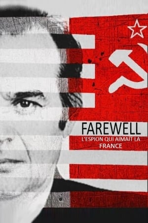 Farewell, the spy who loved France poszter