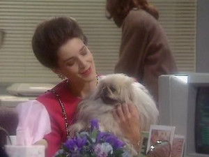 Drop the Dead Donkey Season 2 Ep.3 3. epizód