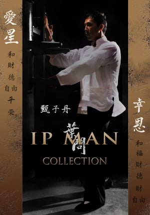 Ip Man filmek