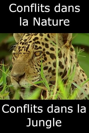 Conflits dans la Nature – Conflits dans la Jungle