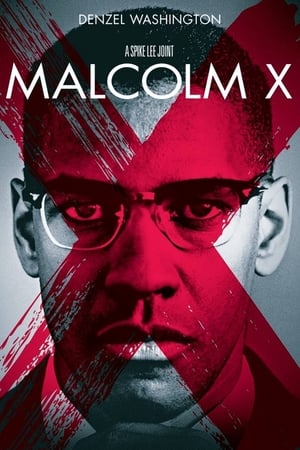 Malcolm X poszter