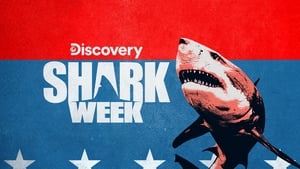 Shark Week kép