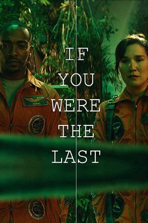 If You Were the Last poszter