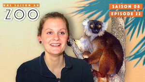 Une saison au zoo Season 8 Ep.22 22. epizód