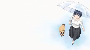 雨と君と kép