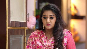 சின்னதம்பி Season 1 Ep.243 243. epizód