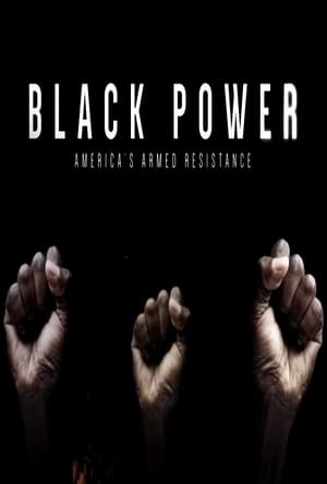 Black Power: America's Armed Resistance