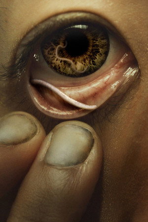Wormtown poszter