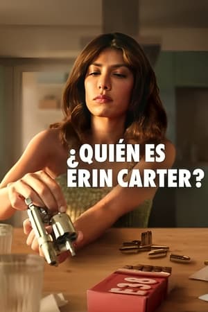 Ki az az Erin Carter? poszter