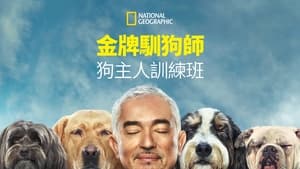 Cesar Millan: Jó gazdi, jó kutya kép