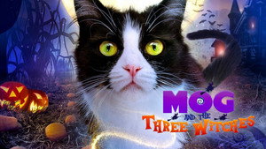 Moo Moo and the Three Witches háttérkép