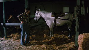 The Waltons Season 3 Ep.3 3. epizód