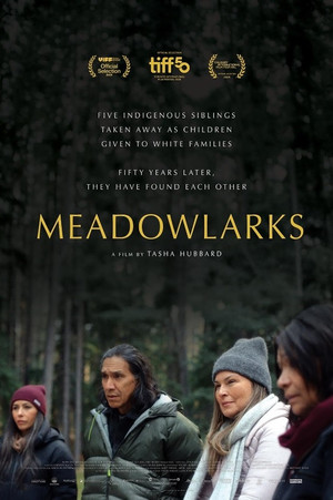 Meadowlarks poszter