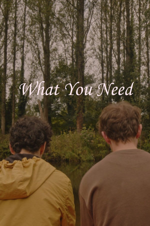What You Need poszter