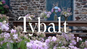 TYBALT háttérkép