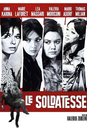 Le soldatesse poszter