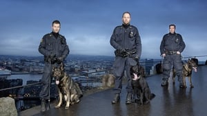 Hundepatruljen Oslo kép