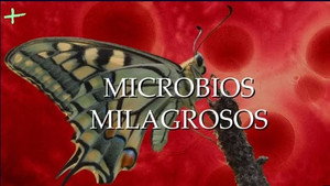 Planeta Microbio 1. évad Ep.7 7. epizód