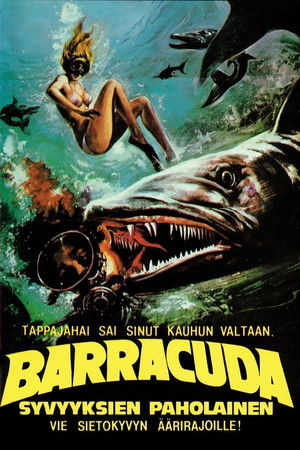 Barracuda poszter