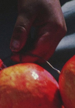 Fake Fruit Factory poszter