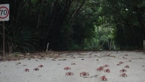 Island of the Hungry Ghosts háttérkép