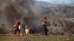 Lassie: The New Beginning háttérkép