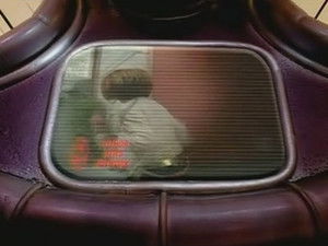 Power Rangers - Misztikus erő 11. évad Ep.16 16. epizód