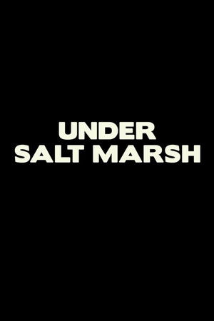 Under Salt Marsh poszter