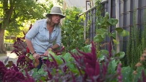 Gardening Australia Season 30 Ep.19 19. epizód