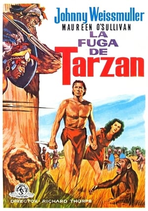 Tarzan szökése poszter