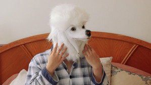 I Wish I Was A Dog háttérkép
