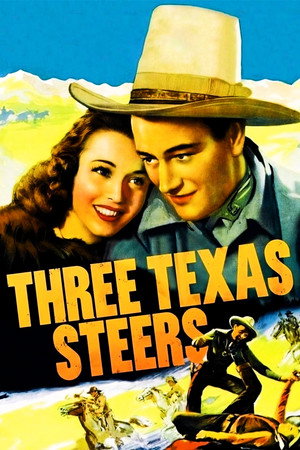 Three Texas Steers poszter